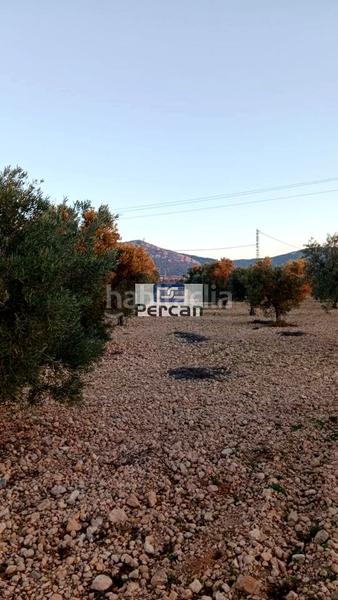 Foto e7a58ae0-b4d9-426e-ac87-0ee36572d772. Wohngrundstück in Las Tiesas Villena