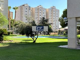 Pis  Oviedo