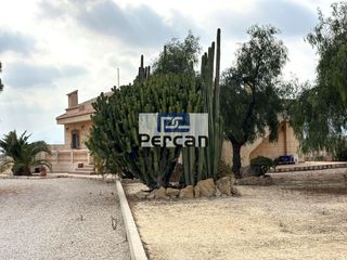 Affitto Casa  Pisnella