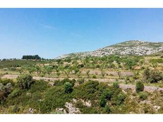 Finca rústica a Plans 00. Suelo rustico venta sant mateu