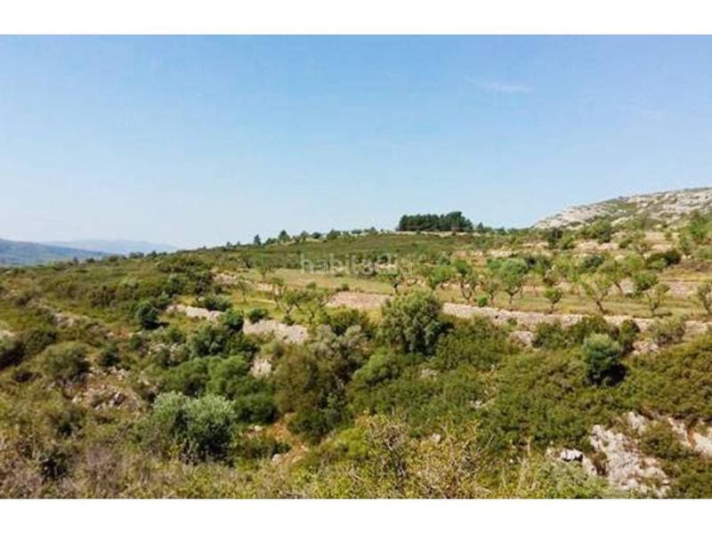 Foto 85d0d4c3-8635-4218-9508-79db9a57d783. Finca rústica a plans 00 a Sant Mateu