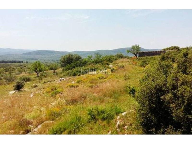 Foto e08da972-d4b6-4f58-8ac9-eab554aefa73. Finca rústica a plans 00 a Sant Mateu