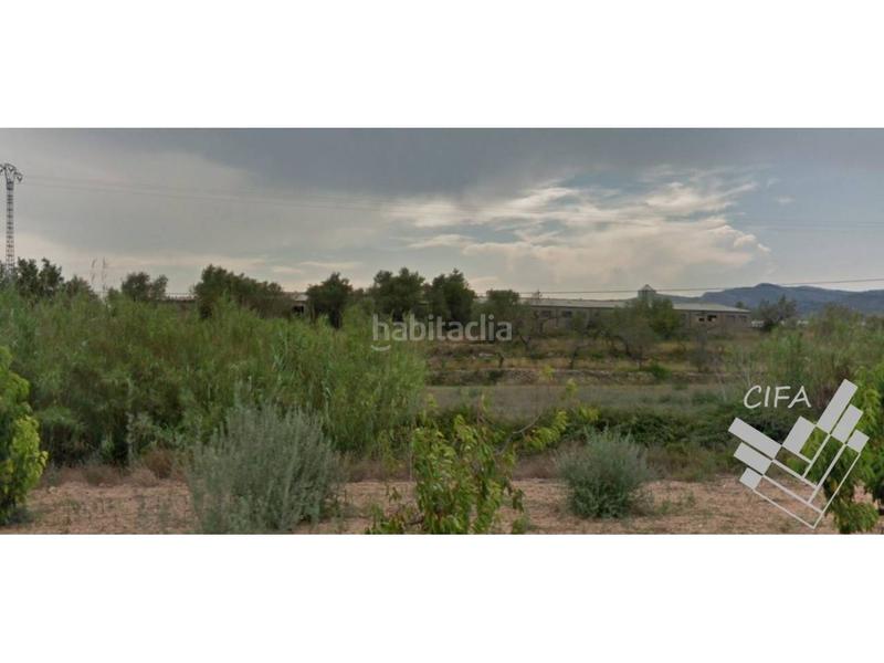 Foto 54b9cefd-e54e-42c3-9952-16733048ee6f. Finca rústica finca rustica en venta en Sant Mateu