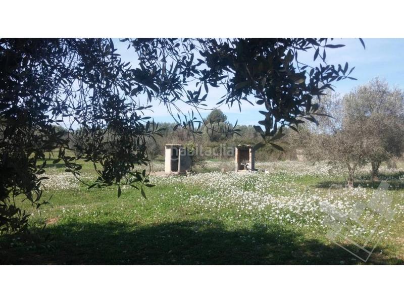 Foto 64b4d073-04fa-4f44-9318-6610828be754. Finca rústica finca rustica en venta en Sant Mateu