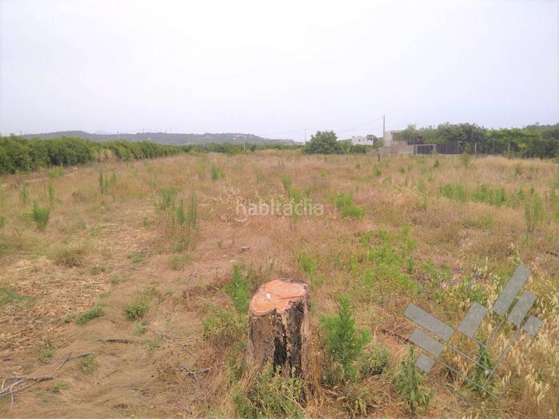 Foto 6a38a8ad-7604-4110-8ca2-3ef8192e7044. Finca rústica finca rustica en venta en vinaros en Vinaròs