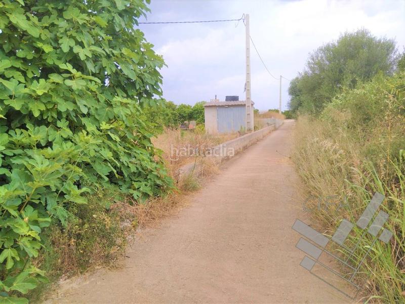 Foto 9a8eb3ae-a29d-4739-b396-56a574e778ef. Finca rústica finca rustica en venta en vinaros en Vinaròs