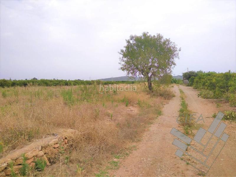 Foto 9c225186-028d-4371-813b-d3fa3b292bb3. Finca rústica finca rustica en venta en vinaros en Vinaròs