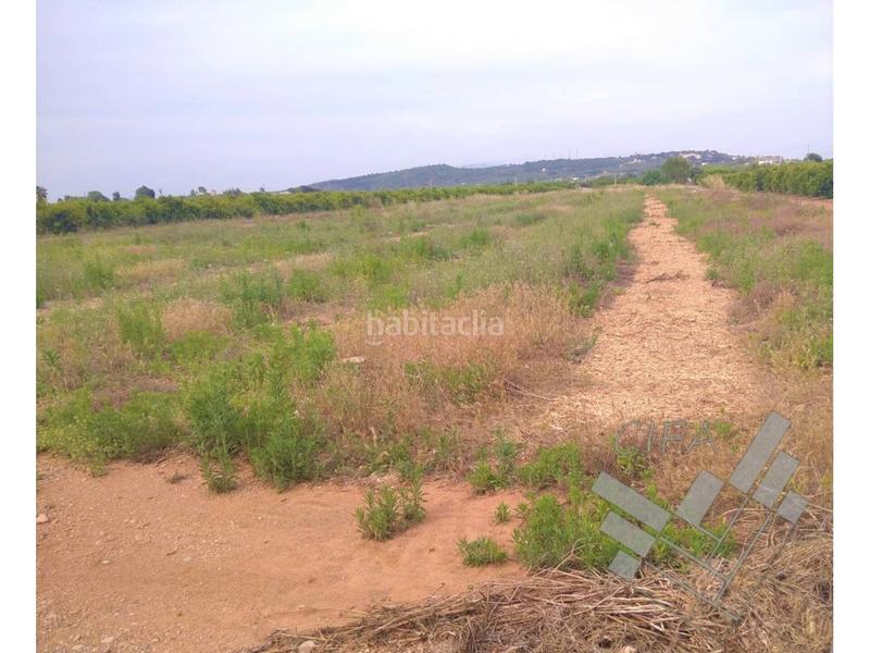 Foto ad1694e6-71a3-468c-a7af-a0c56a0d95b4. Finca rústica finca rustica en venta en vinaros en Vinaròs