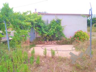 Finca rústica  Partida les suterranes, polig.43. Finca rustica en venta en vinaros
