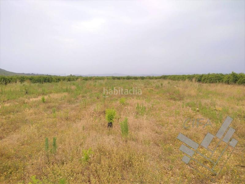 Foto cc0a4b03-0722-4ec1-90f9-ded540e924f7. Finca rústica finca rustica en venta en vinaros en Vinaròs