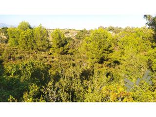 Finca rústica  Mas de cabanes, poligono 19. Venta de 60 suelos urbanizables residenciales en sendero mas de