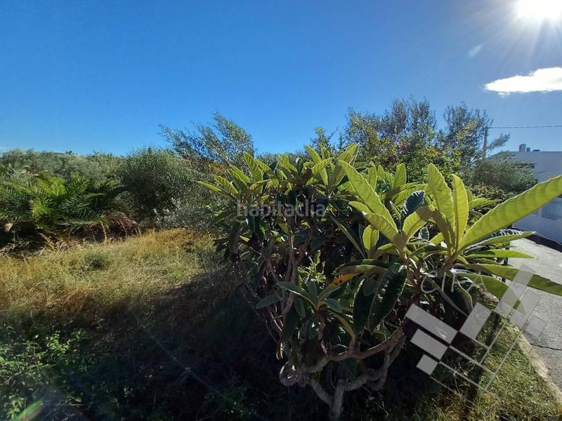 Foto 07ac1ac0-54ba-4936-a855-c6a87aabeb4e. Finca rústica se vende suelo urbano en la costa norte de vinarós en Vinaròs