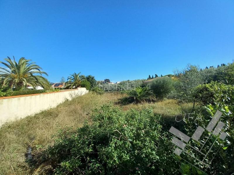 Foto 55fe6f9c-cd4f-42c2-b234-0f7376adbbd0. Finca rústica se vende suelo urbano en la costa norte de vinarós en Vinaròs