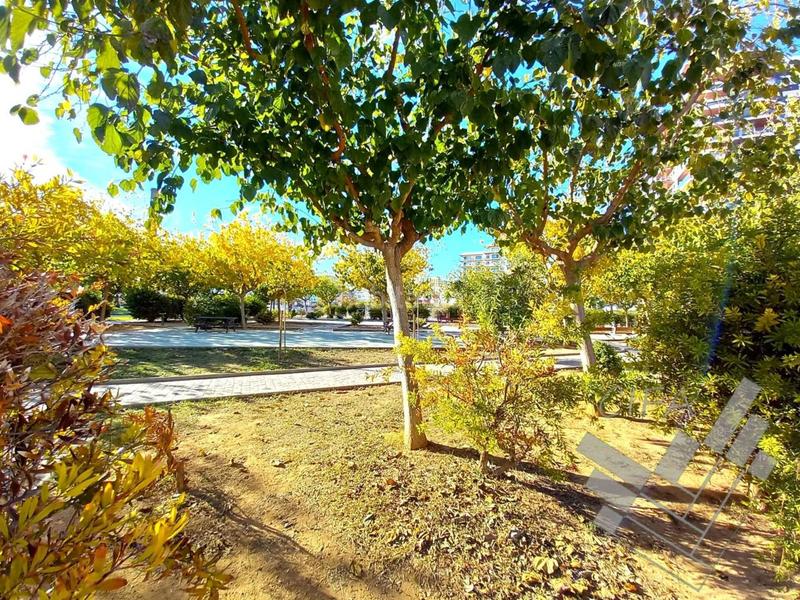 Foto f94395c5-f0af-459e-9179-0305cef70e6a. Terreno residencial se vende solar en plaza 1 de mayo en vinarós en Vinaròs