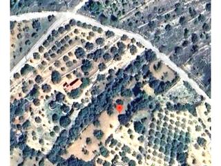 Finca rústica a Poligono 13 157. Se vende terreno rustico en san jordi castellón