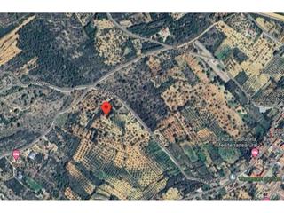 Finca rústica a Poligono 13 157. Se vende terreno rustico en san jordi castellón