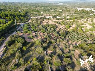 Finca rústica  14. Finca en sant jordi