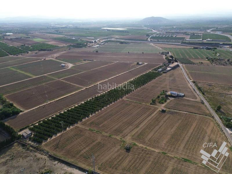 Foto 33fc84bb-2d78-4353-87b8-b27988dfae9d. Finca rústica oportunidad única! parcela rústica en venta en plena producción de naranjos en Vinaròs