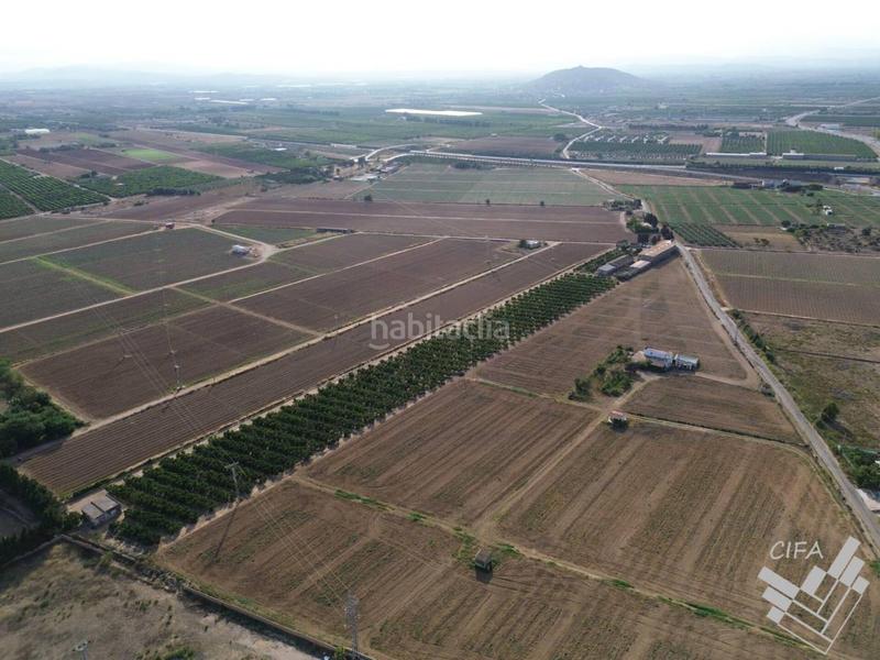 Foto 4e21faa8-1825-4bb4-9f4d-a518eed9447b. Finca rústica oportunidad única! parcela rústica en venta en plena producción de naranjos en Vinaròs