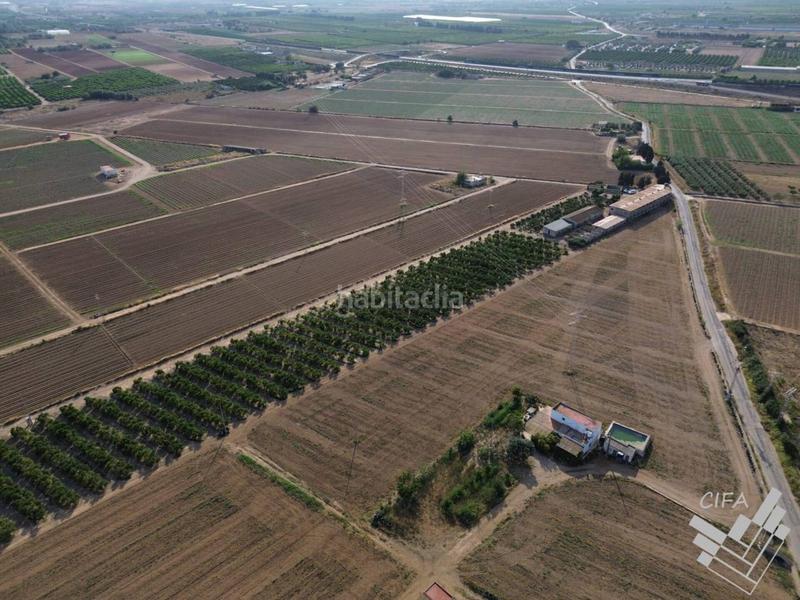 Foto ff83cb32-b4a2-4f5c-b601-2a1654f00d00. Finca rústica oportunidad única! parcela rústica en venta en plena producción de naranjos en Vinaròs