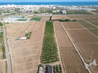 Propriété  56 parcela 99 vistabella. Oportunidad única! parcela rústica en venta en plena producción