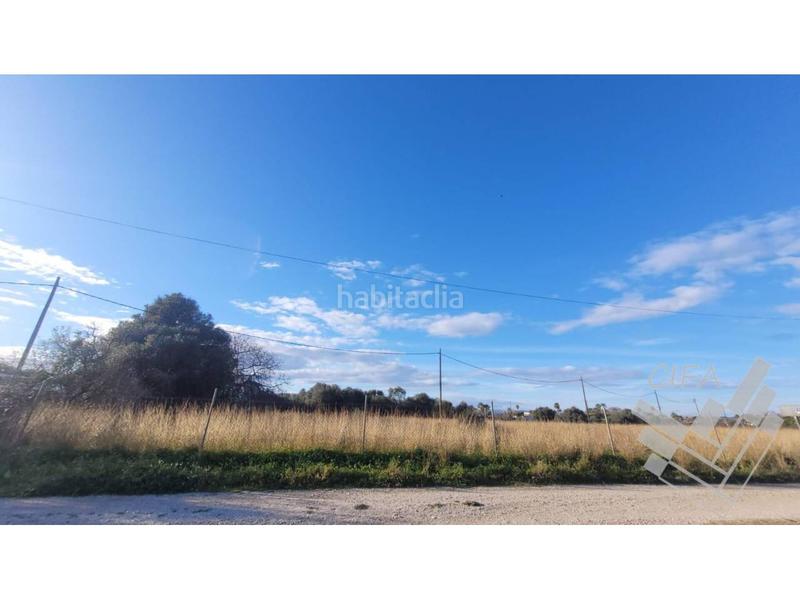 Foto 97d7ad0c-7ccd-4c22-872a-2da167016e2e. Finca rústica oportunidad única de inversión! en Boverals-Saldonar Vinaròs