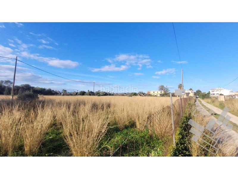 Foto b3a9de7b-13ec-41d4-bdee-290a39aa09be. Finca rústica oportunidad única de inversión! en Boverals-Saldonar Vinaròs
