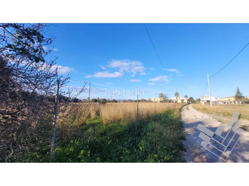 Foto ce17ecfd-0c5b-446e-9d97-2de918a65110. Finca rústica oportunidad única de inversión! en Boverals-Saldonar Vinaròs