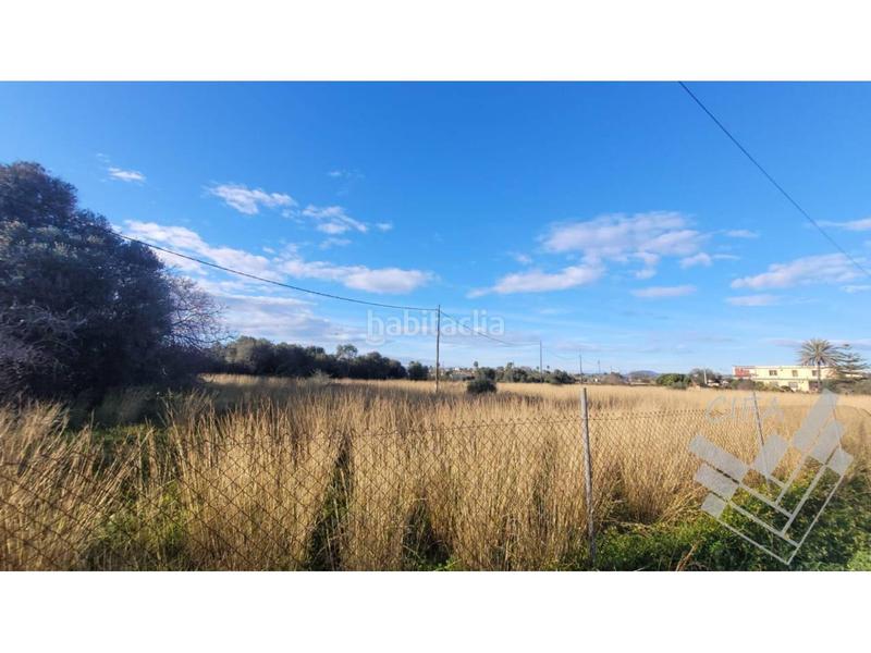 Foto cf0fe5fc-50f2-4b43-9ad5-4aed41b7ba42. Finca rústica oportunidad única de inversión! en Boverals-Saldonar Vinaròs