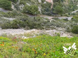 Finca rústica  Irlanda. Terreno en venta en las atalayasu.r.m.i.cerromar