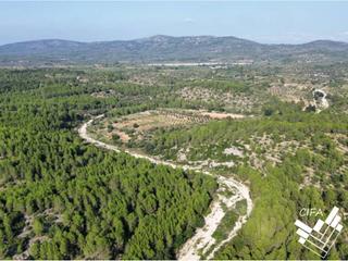 Finca rústica en 13
