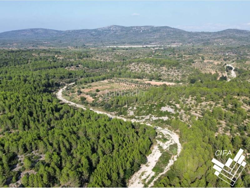 Foto 71343042-82a8-4673-bd61-83ce27c66dcd. Finca rústica finca rustica en venta en Sant Mateu