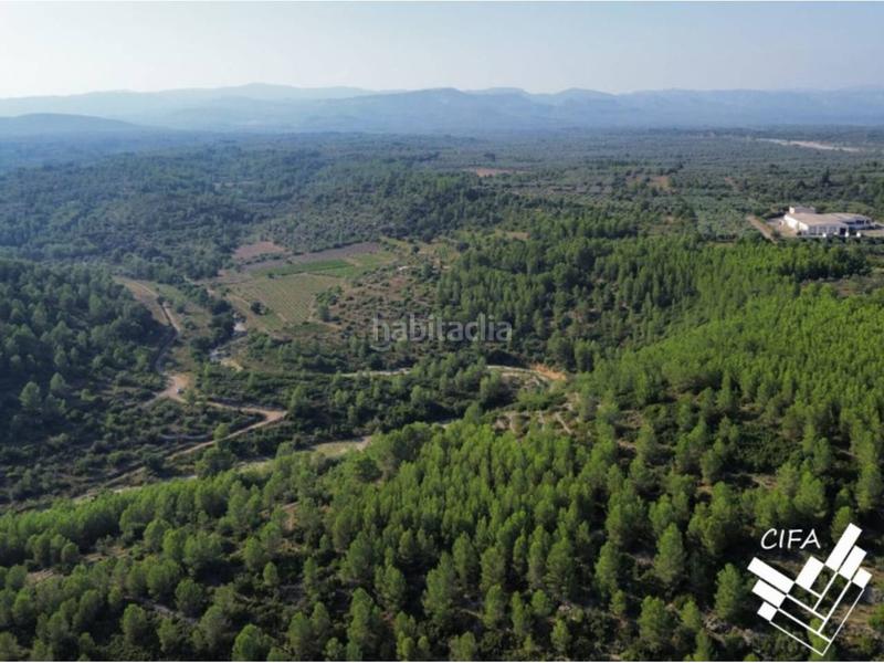 Foto a24afa94-56a4-4ee2-9ac5-924f094bdabb. Finca rústica finca rustica en venta en Sant Mateu