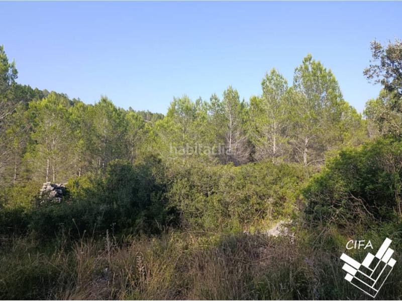 Foto aa4775a1-e2fd-478f-8f1a-624a8244a653. Finca rústica finca rustica en venta en Sant Mateu
