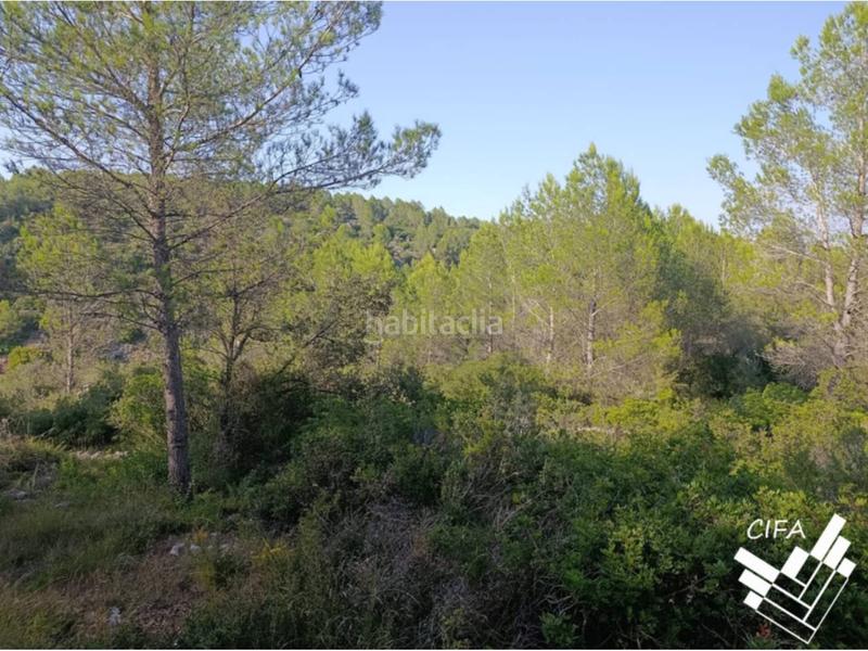 Foto b22da8ee-593f-4639-8937-30c7908ff3ef. Finca rústica finca rustica en venta en Sant Mateu