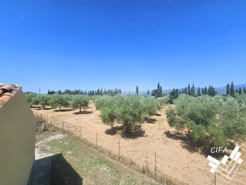 Foto 8457b1cd-94fb-49e7-8668-0568e452b808. House in Ulldecona