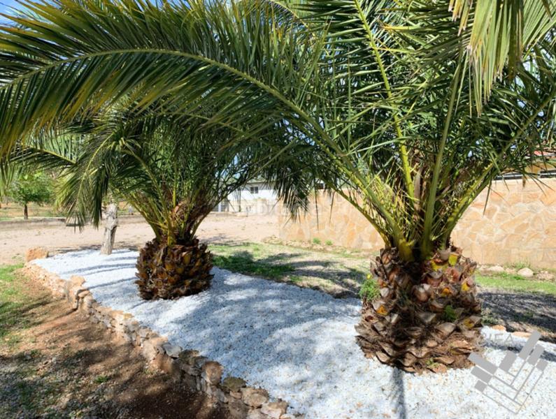 Foto eb03367b-0db6-42d4-86c9-70c9f843215f. House in Ulldecona