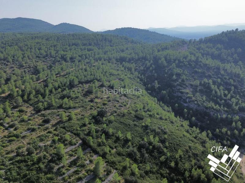 Foto 4d1fda98-545c-4ae0-8047-60dc00634534. Finca rústica finca rustica en venta en Sant Mateu