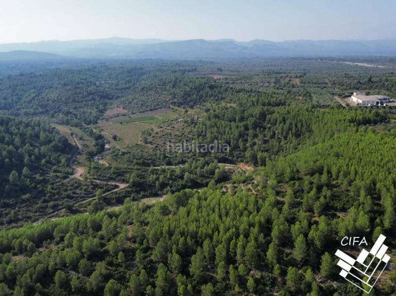 Foto 524726ac-2852-49fb-9b7e-bb45b26d0106. Finca rústica finca rustica en venta en Sant Mateu