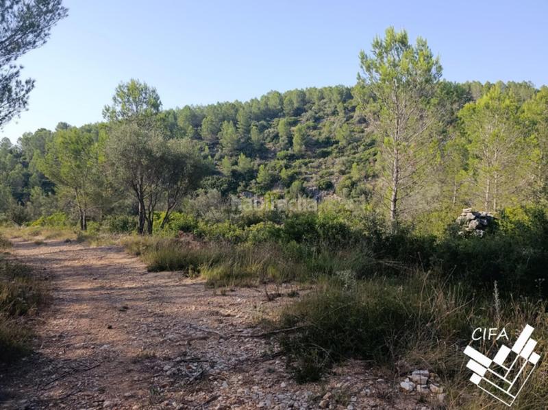 Foto 5823e9a0-bd4a-413d-8019-d03b9f2e439c. Finca rústica finca rustica en venta en Sant Mateu
