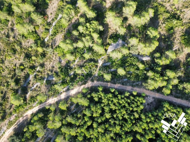 Foto a9a803cf-4456-4f6c-88e3-3f6257269300. Finca rústica finca rustica en venta en Sant Mateu