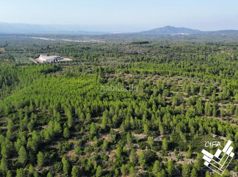 Foto c79389de-f55e-4c6e-996b-b5c224751cc1. Finca rústica finca rustica en venta en Sant Mateu