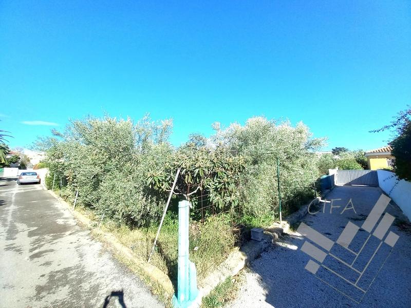Foto 61b88135-fdc0-4145-9441-0b3336f93903. Rural plot in Casco Urbano Vinaròs
