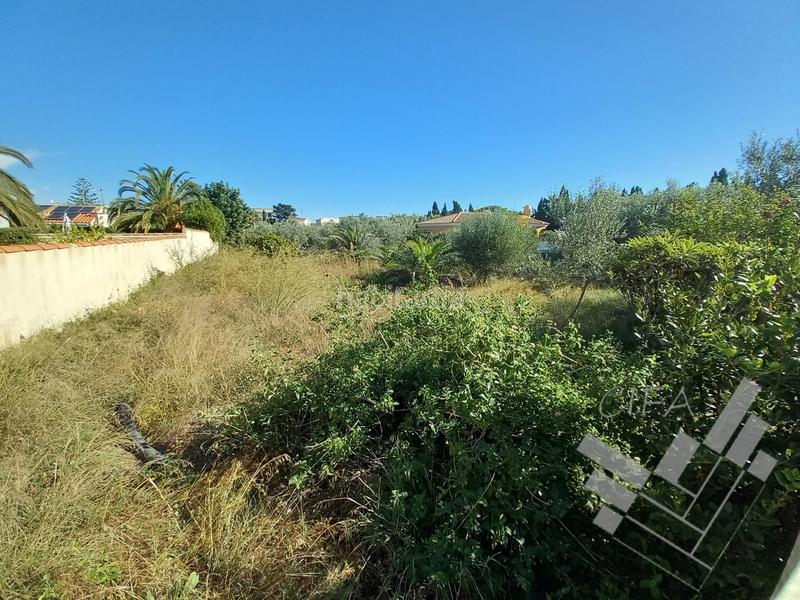 Foto 6ed10ad0-839b-47b5-947f-bf010575c93d. Rural plot in Casco Urbano Vinaròs