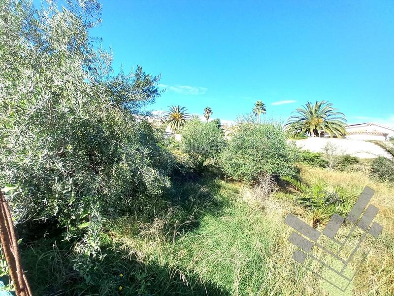 Foto b17c3a9a-0a2a-45b9-8858-155cb5a2407e. Rural plot in Casco Urbano Vinaròs