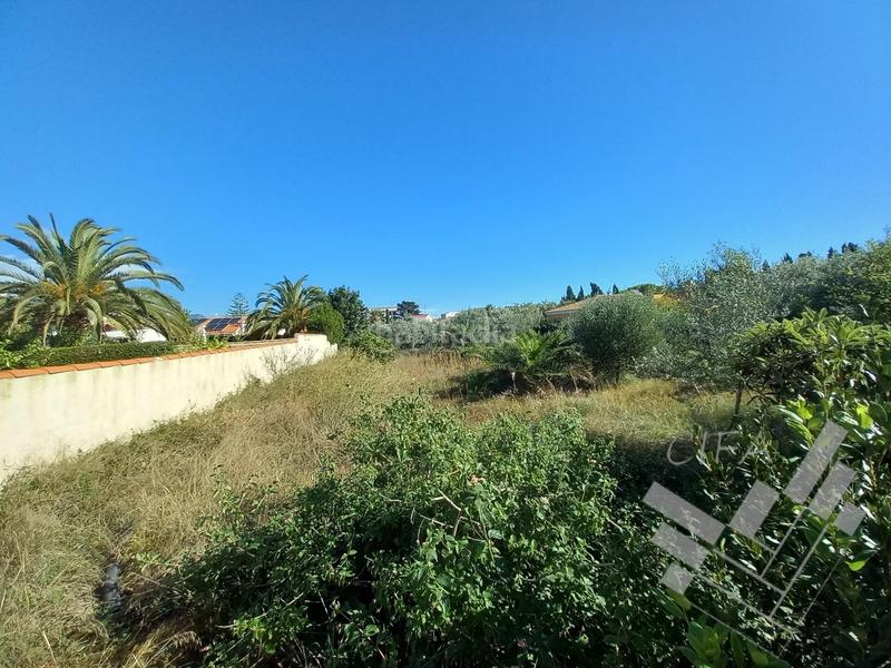 Foto f21b6576-5416-4866-86e0-ad7bcf30cb5c. Rural plot in Casco Urbano Vinaròs