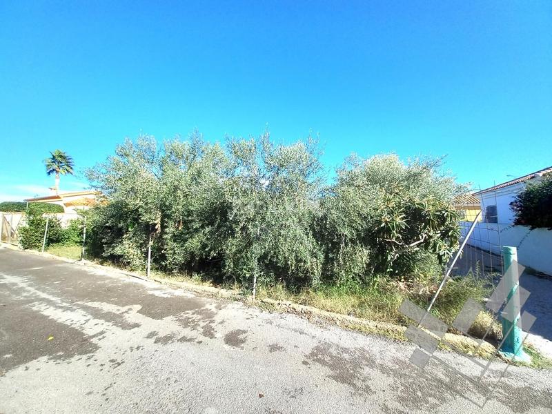 Foto f47f7f72-93ab-4f16-9653-e3478418906f. Rural plot in Casco Urbano Vinaròs