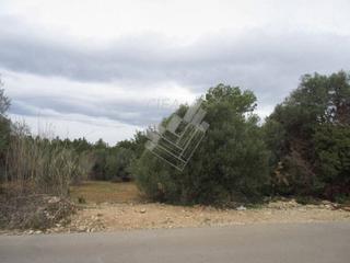 Terreny residencial  Ameradors t. Solar edificable en vinaròs