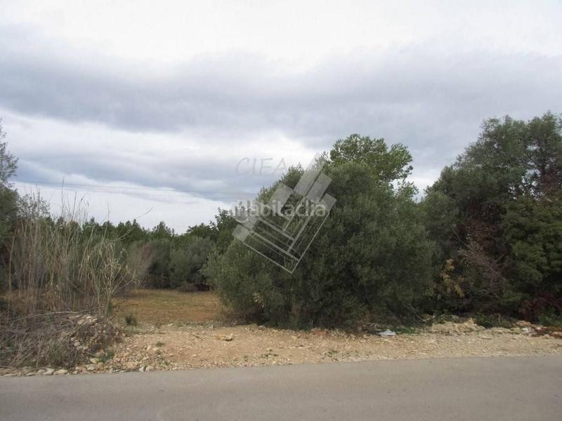 Foto cf92e574-748f-4abb-872e-a135e5086380. Terrain résidentiel dans Boverals-Saldonar Vinaròs