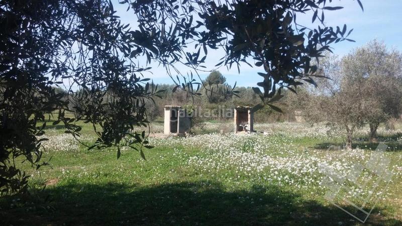 Foto 714557a1-93e6-4178-9897-4c35111674ca. Finca rústica a Sant Mateu